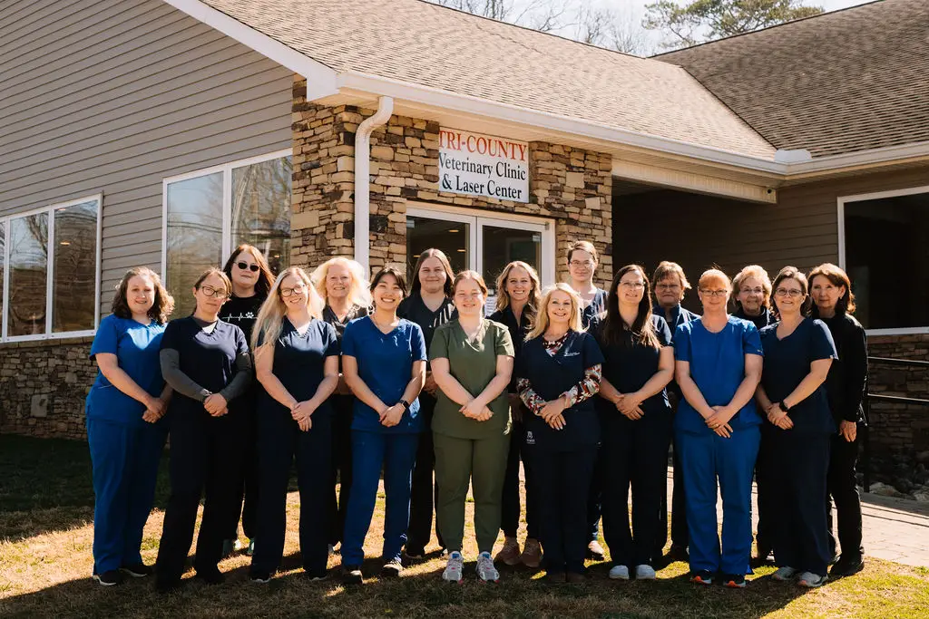 The veterinary team at Tri-County Veterinary Clinic in Sevierville, TN.