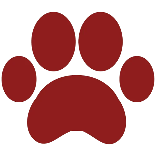 paw-print1-01
